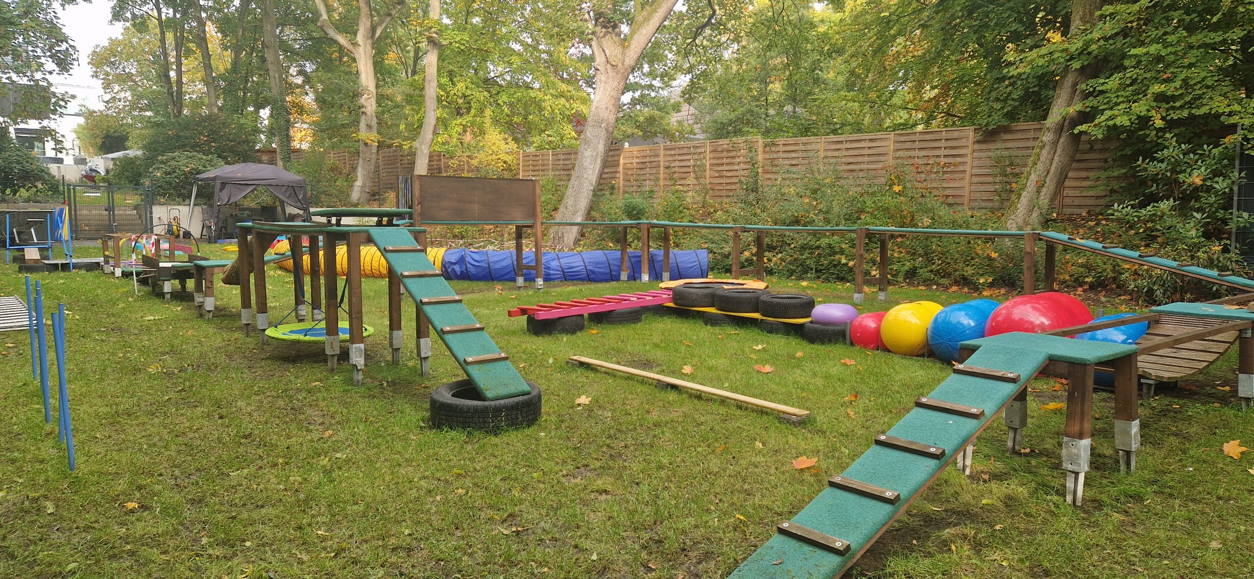 Healthy Dogs Miriam Location