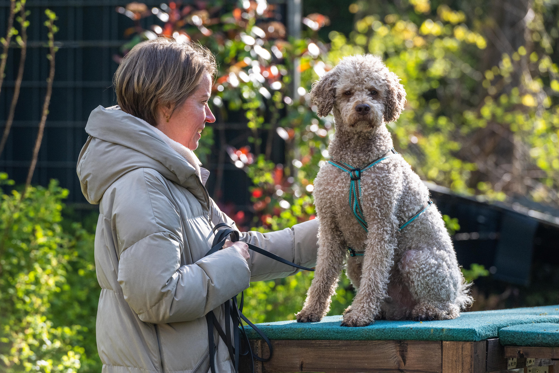 Healthy Dogs Miriam Kuschnik Fitness