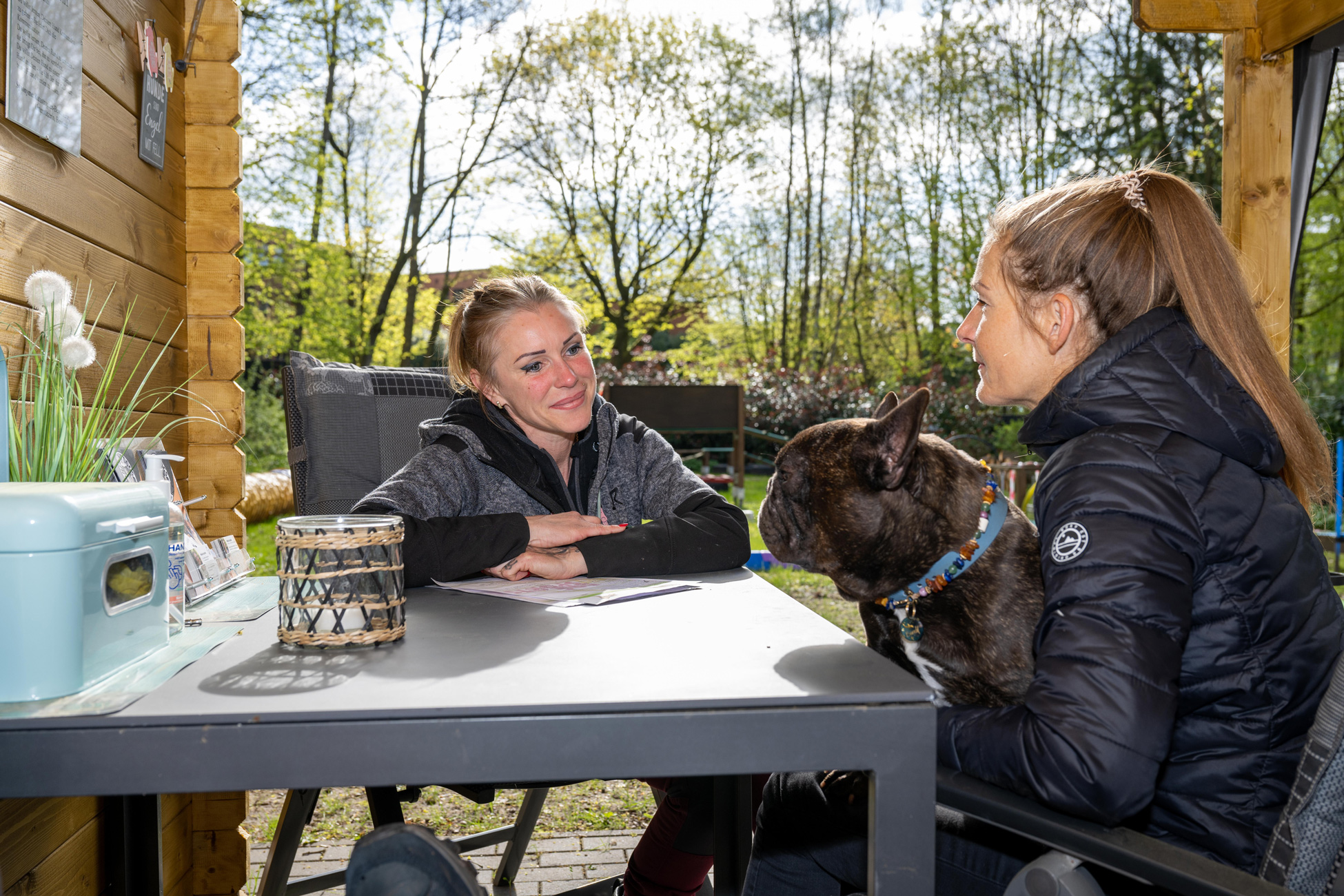 Healthy Dogs Miriam Kuschnik Kunde Kontakt