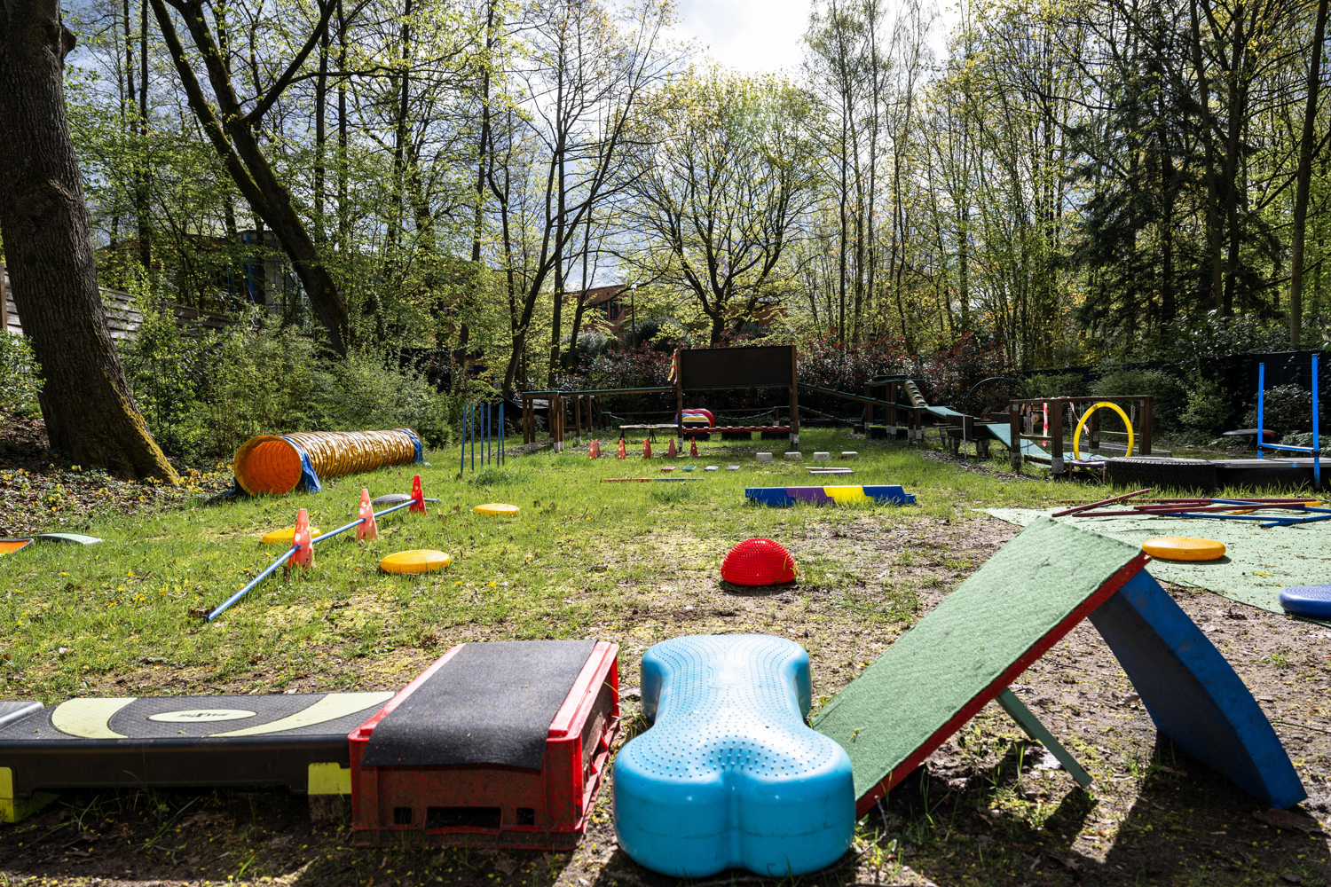 Healthy Dogs Miriam Kuschnik