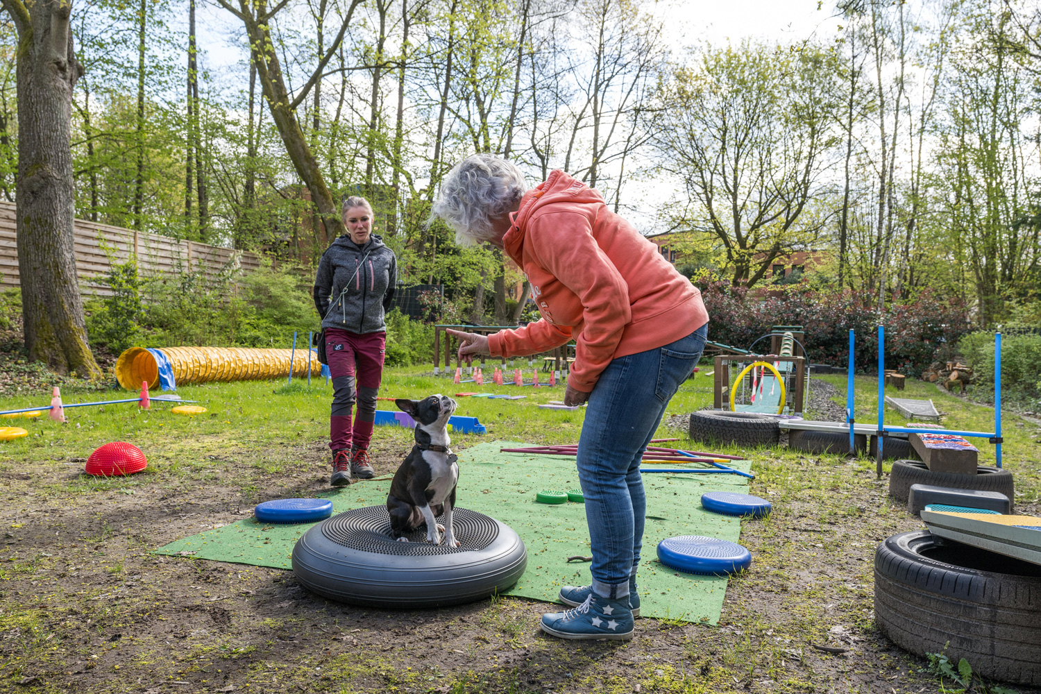 Healthy Dogs Miriam Kuschnik Fitness