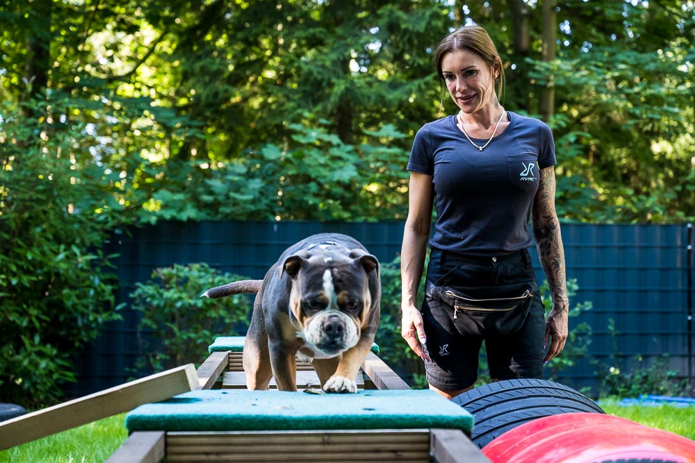 Healthy Dogs Miriam Kuschnik Fitness